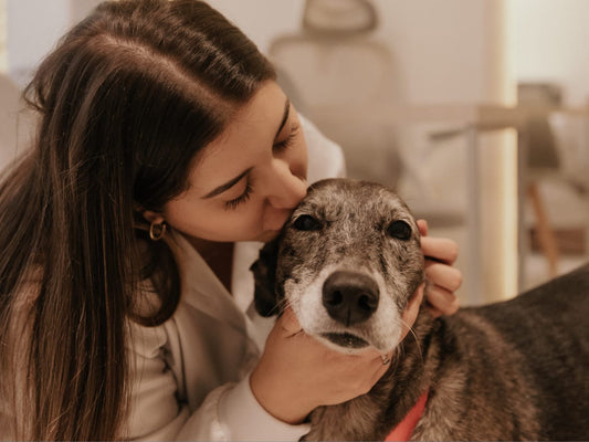 Medicina Preventiva: um cuidado antes dos sintomas